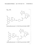 CELL-SIGNALING ASSAYS diagram and image