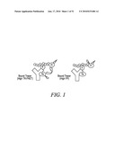 KINASE AND UBIQUINATION ASSAYS diagram and image