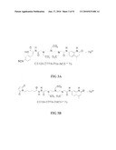 KINASE AND UBIQUINATION ASSAYS diagram and image