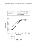 KINASE AND UBIQUINATION ASSAYS diagram and image