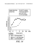 KINASE AND UBIQUINATION ASSAYS diagram and image