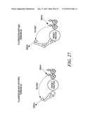 KINASE AND UBIQUINATION ASSAYS diagram and image