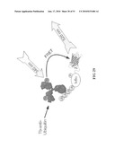 KINASE AND UBIQUINATION ASSAYS diagram and image