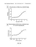 KINASE AND UBIQUINATION ASSAYS diagram and image