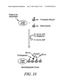 KINASE AND UBIQUINATION ASSAYS diagram and image