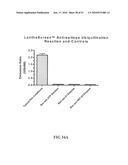 KINASE AND UBIQUINATION ASSAYS diagram and image