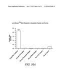 KINASE AND UBIQUINATION ASSAYS diagram and image