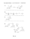 KINASE AND UBIQUINATION ASSAYS diagram and image