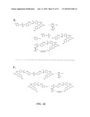 KINASE AND UBIQUINATION ASSAYS diagram and image