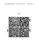 CHEMICAL SURFACE NANOPATTERNS TO INCREASE ACTIVITY OF SURFACE-IMMOBILIZED BIOMOLECULES diagram and image