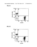 MULTICOLOR FLOW CYTOMETRY COMPOSITIONS CONTAINING UNCONJUGATED PHYCOBILIPROTEINS diagram and image