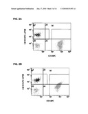 MULTICOLOR FLOW CYTOMETRY COMPOSITIONS CONTAINING UNCONJUGATED PHYCOBILIPROTEINS diagram and image