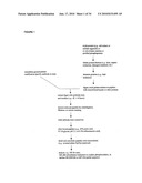 Reagents for the detection of protein phosphorylation in carcinoma signaling pathways diagram and image