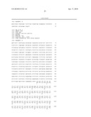 Method for Stable Gene-Amplification in a Bacterial Host Cell diagram and image