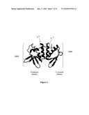 HYBRID AND SINGLE CHAIN MEGANUCLEASES AND USE THEREOF diagram and image