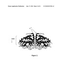 HYBRID AND SINGLE CHAIN MEGANUCLEASES AND USE THEREOF diagram and image