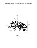 HYBRID AND SINGLE CHAIN MEGANUCLEASES AND USE THEREOF diagram and image