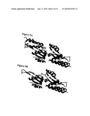 HYBRID AND SINGLE CHAIN MEGANUCLEASES AND USE THEREOF diagram and image