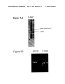 HYBRID AND SINGLE CHAIN MEGANUCLEASES AND USE THEREOF diagram and image