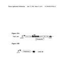 HYBRID AND SINGLE CHAIN MEGANUCLEASES AND USE THEREOF diagram and image