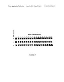 HYBRID AND SINGLE CHAIN MEGANUCLEASES AND USE THEREOF diagram and image