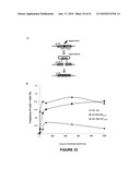 HYBRID AND SINGLE CHAIN MEGANUCLEASES AND USE THEREOF diagram and image