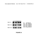 HYBRID AND SINGLE CHAIN MEGANUCLEASES AND USE THEREOF diagram and image