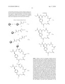 MACROCYCLIC COMPOUNDS FOR INHIBITION OF TUMOR NECROSIS FACTOR ALPHA diagram and image