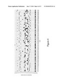 ALTERNATE READING FRAME POLYPEPTIDES DERIVED FROM HEPATITIS C AND METHODS OF THEIR USE diagram and image