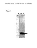 ALTERNATE READING FRAME POLYPEPTIDES DERIVED FROM HEPATITIS C AND METHODS OF THEIR USE diagram and image