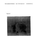 ALTERNATE READING FRAME POLYPEPTIDES DERIVED FROM HEPATITIS C AND METHODS OF THEIR USE diagram and image