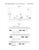 Heterogeneous In-Reactor Polymer Blends diagram and image