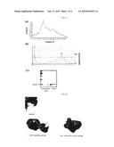 Compostion for Preventing and Treating Acetaminophen Inducing Liver Injury Comprising the Protein Extract from Porphyra Yezoensis diagram and image