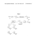 SYNTHETIC PROCESS FOR AMINOCYCLOHEXYL ETHER COMPOUNDS diagram and image