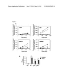 AGENT AND METHOD FOR STABILIZING MEMBRANE PROTEIN diagram and image