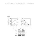 AGENT AND METHOD FOR STABILIZING MEMBRANE PROTEIN diagram and image