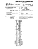 ELECTRIC SUBMERSIBLE PUMPING SYSTEM WITH GAS VENT diagram and image