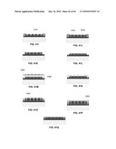 Microprobe Tips and Methods for Making diagram and image