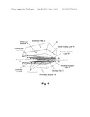 PLASMA PANEL BASED RADIATION DETECTOR diagram and image