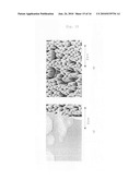 Group III Nitride Semiconductor Light Emitting Device and Method for Producing the Same diagram and image