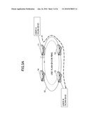 BRIDGE APPARATUS AND VIRTUAL NETWORK SWITCHING METHOD diagram and image