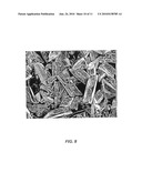 Method for Growing Group III-Nitride Crystals in Supercritical Ammonia Using an Autoclave diagram and image