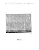 Method for Growing Group III-Nitride Crystals in Supercritical Ammonia Using an Autoclave diagram and image