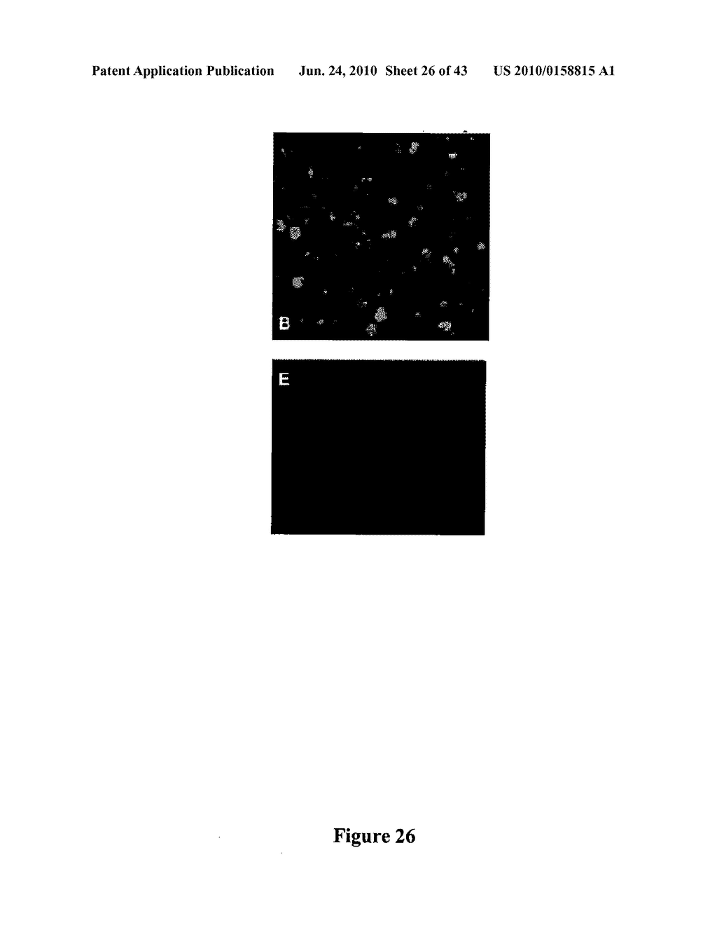 Biological Cell Tracking With Ultrasound - diagram, schematic, and image 27