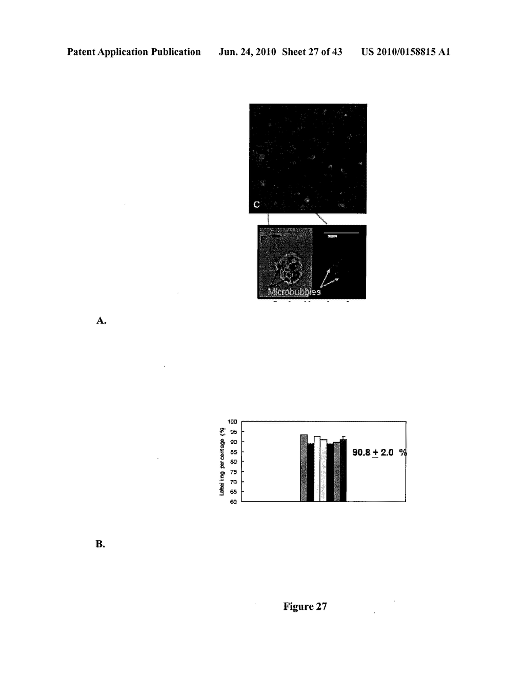 Biological Cell Tracking With Ultrasound - diagram, schematic, and image 28