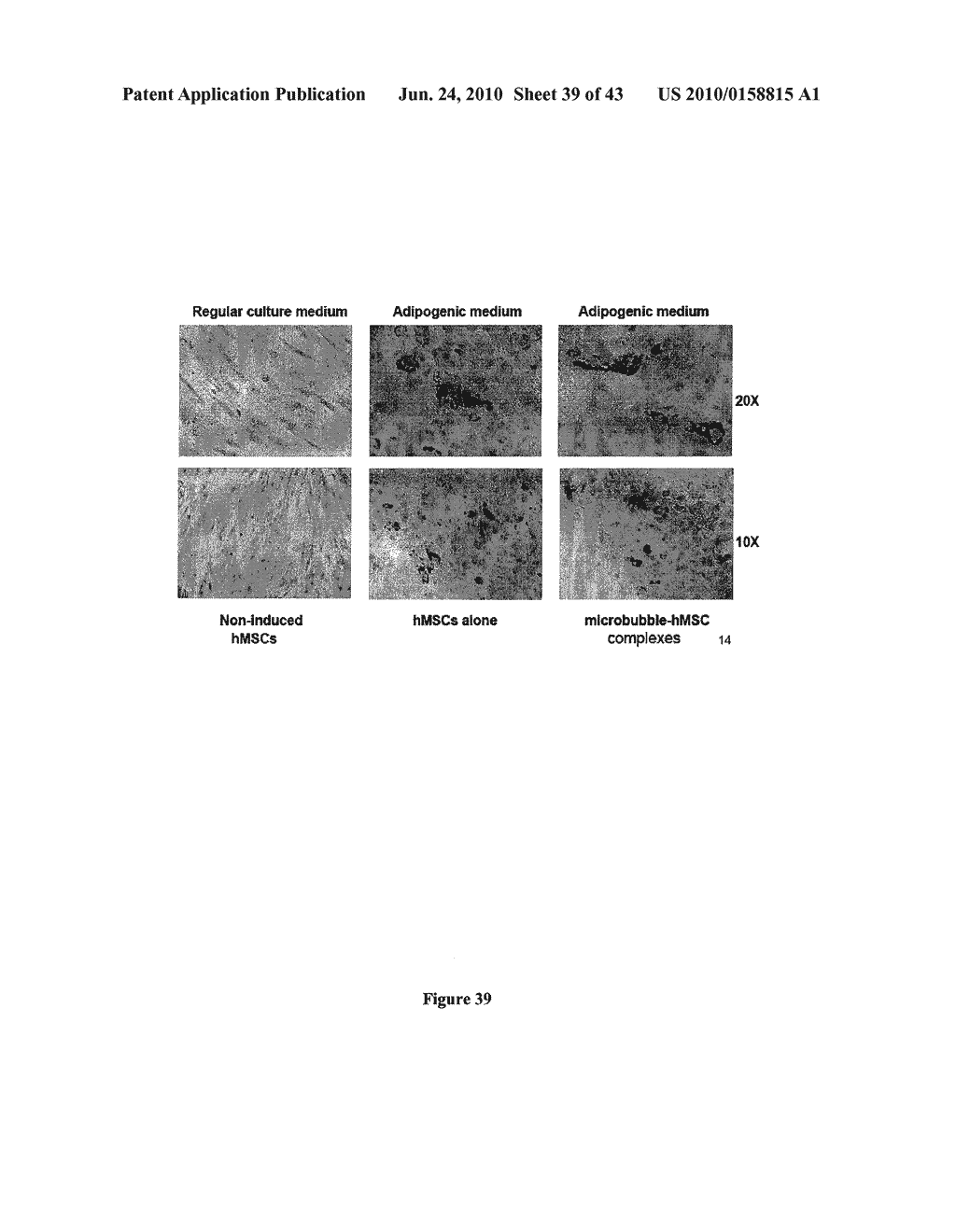 Biological Cell Tracking With Ultrasound - diagram, schematic, and image 40