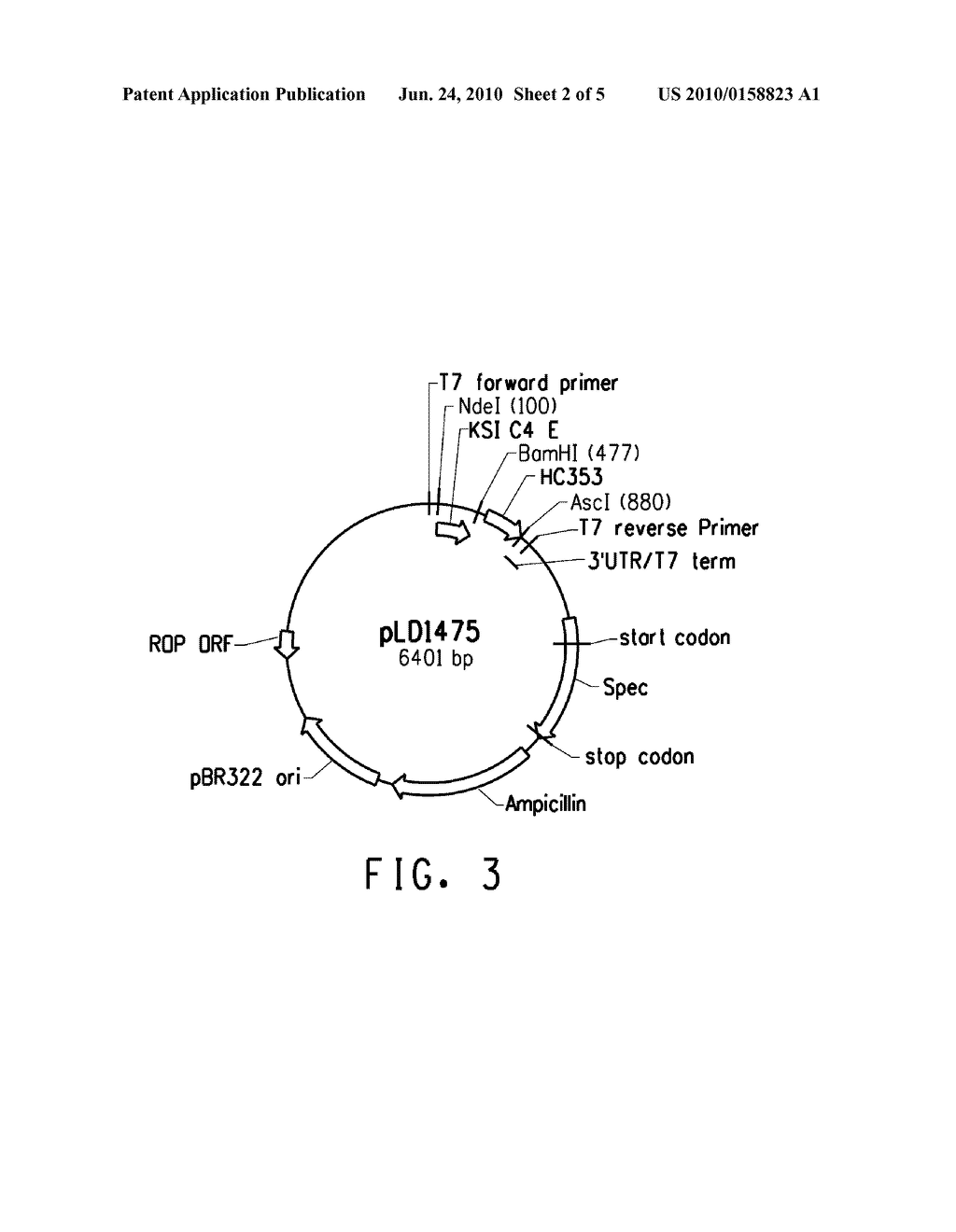 PEPTIDE LINKERS FOR EFFECTIVE MULTIVALENT PEPTIDE BINDING - diagram, schematic, and image 03