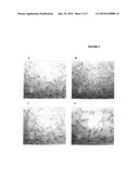 USE OF ALKALINE PHOSPHATASE TO MAINTAIN HEALTHY TISSUE MASS IN MAMMALS diagram and image