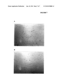 USE OF ALKALINE PHOSPHATASE TO MAINTAIN HEALTHY TISSUE MASS IN MAMMALS diagram and image