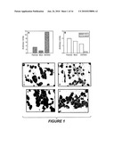 ANTIBODY THAT SPECIFICALLY BINDS HYALURONAN SYNTHASE diagram and image